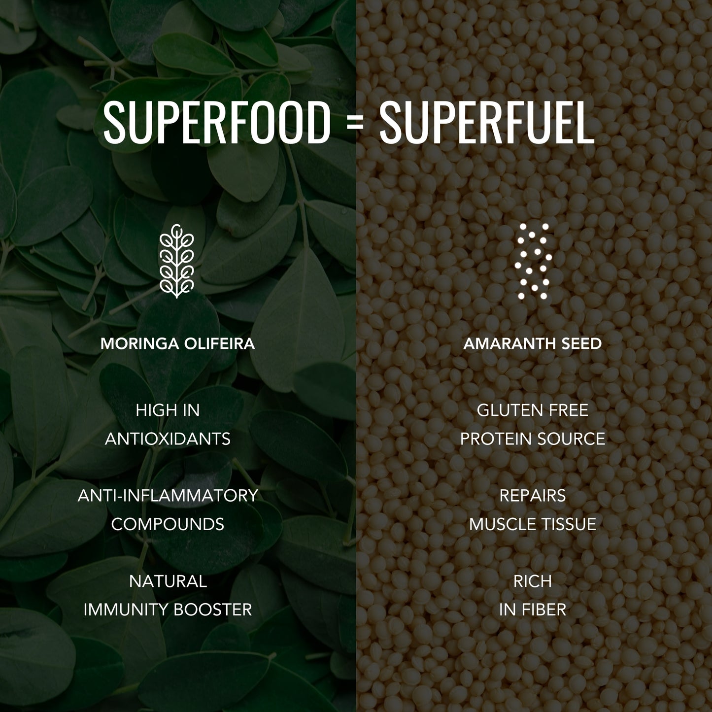 Chocolate Nutrition Bite